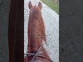 When the weather gets warmer I’m definitely taking her outside again