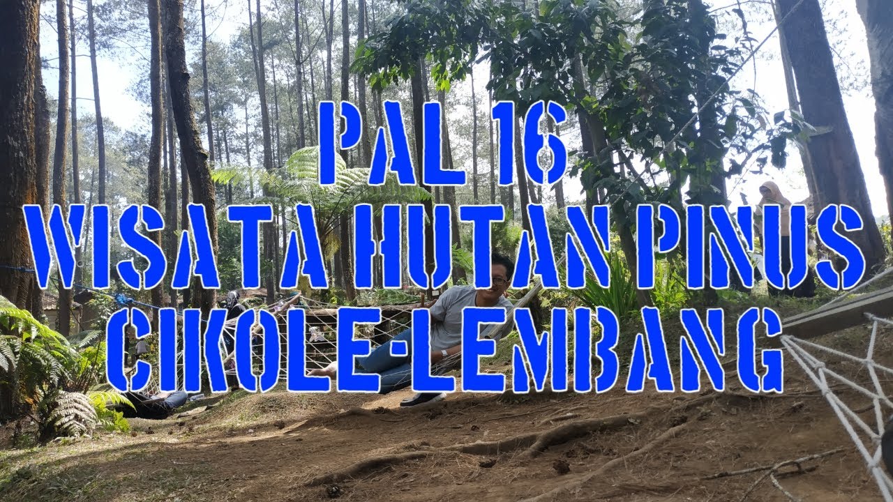 HUTAN PINUS CIKOLE-LEMBANG-BANDUNG - YouTube