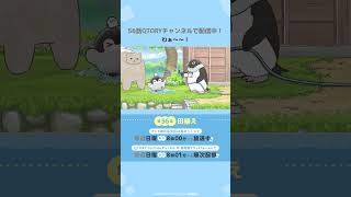 わぁ～～！ - YouTube