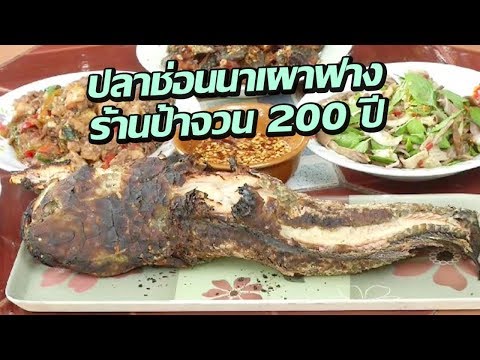 ปลาช่อนนาเผาฟาง ร้านป้าจวน 200 ปี | 20-09-60 | ตะลอนข่าวเช้านี้