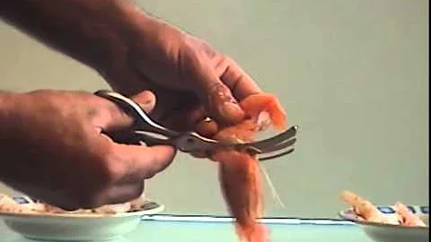 Quali sono crostacei e molluschi?