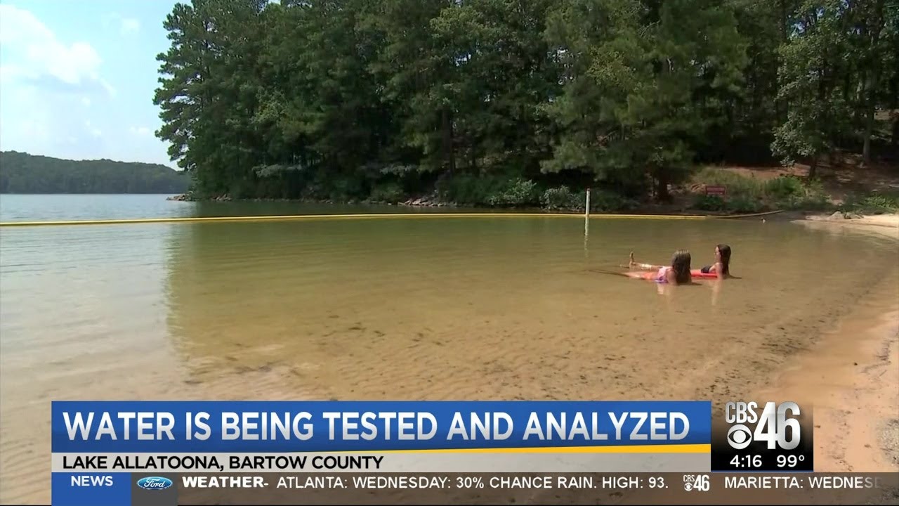 Are Dogs Allowed At Lake Allatoona