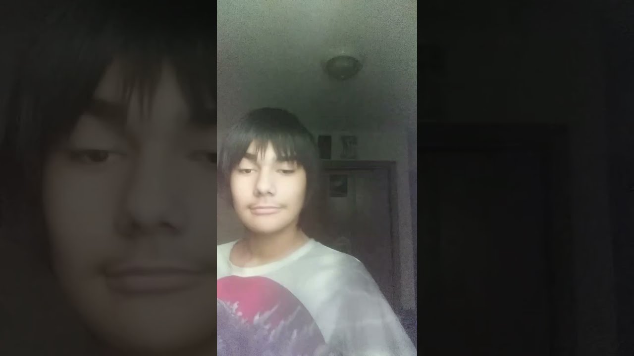 Animals Camouflage Part 1