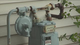 Consumer advocates tell regulators to slash rate hike requests from Ameren, Nicor