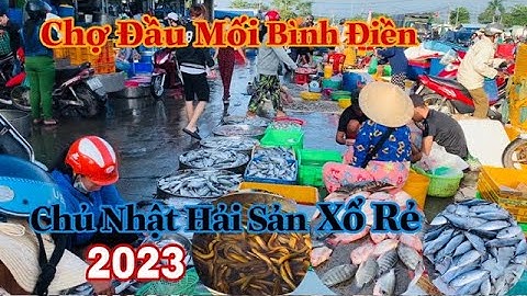 Khám Phá Tham Quan Chợ Đầu Mối Bình Điền - Chợ Hải Sản Chủ Nhật Xổ Giá Rẻ - 2023