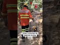 Tucano é resgatado por bombeiros em obra do DF