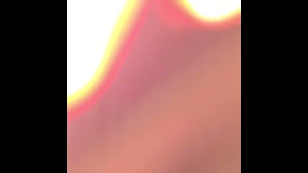 cat climbing on curtains 