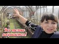 Мы справились. Наши маленькие радости. Быстрый и вкусный обед в мультиварке. Жизнь семьи в деревне.
