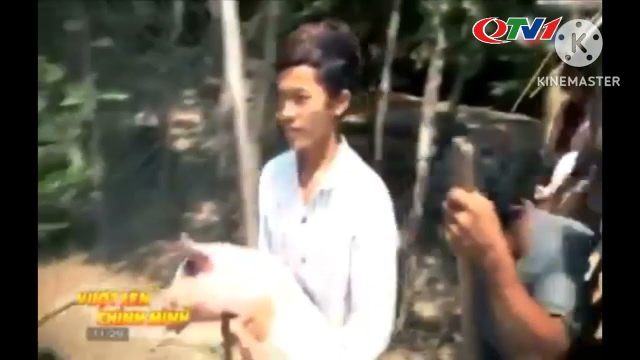 QTV1 - Trailer Vượt lên chính mình | 21h15 Chủ nhật hằng tuần + Panel 5s Tập đoàn Hoa Sen