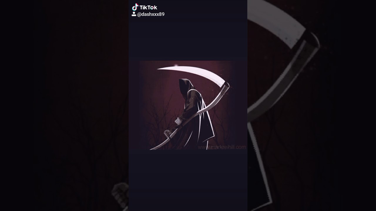 Dash The Reaper Tiktok Attention YouTube