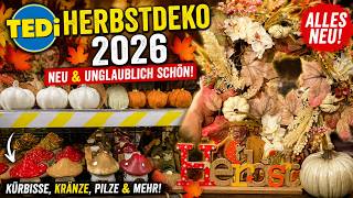 TEDI HERBSTDEKO 2026 🍁 DIE SCHÖNSTEN HERBST-DEKORATIONEN & UNSCHLAGBARE SCHNÄPPCHEN! 😍🍄