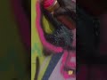 Jinx Graffiti from Arcane in Real Life (in cosplay)! #shorts #arcane #jinx