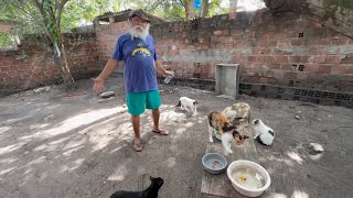 LUIZ DO SOM RECEBE DENÚNCIA SOBRE MAUS TRATOS DE ANIMAIS NA TV TAMBABA | LUIZ DO SOM E CACHORRADA