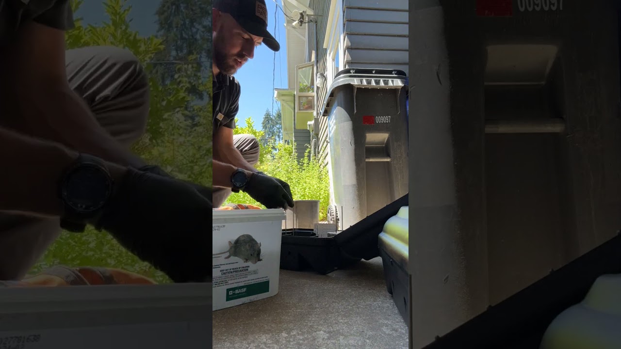 Rodent control program in Portland