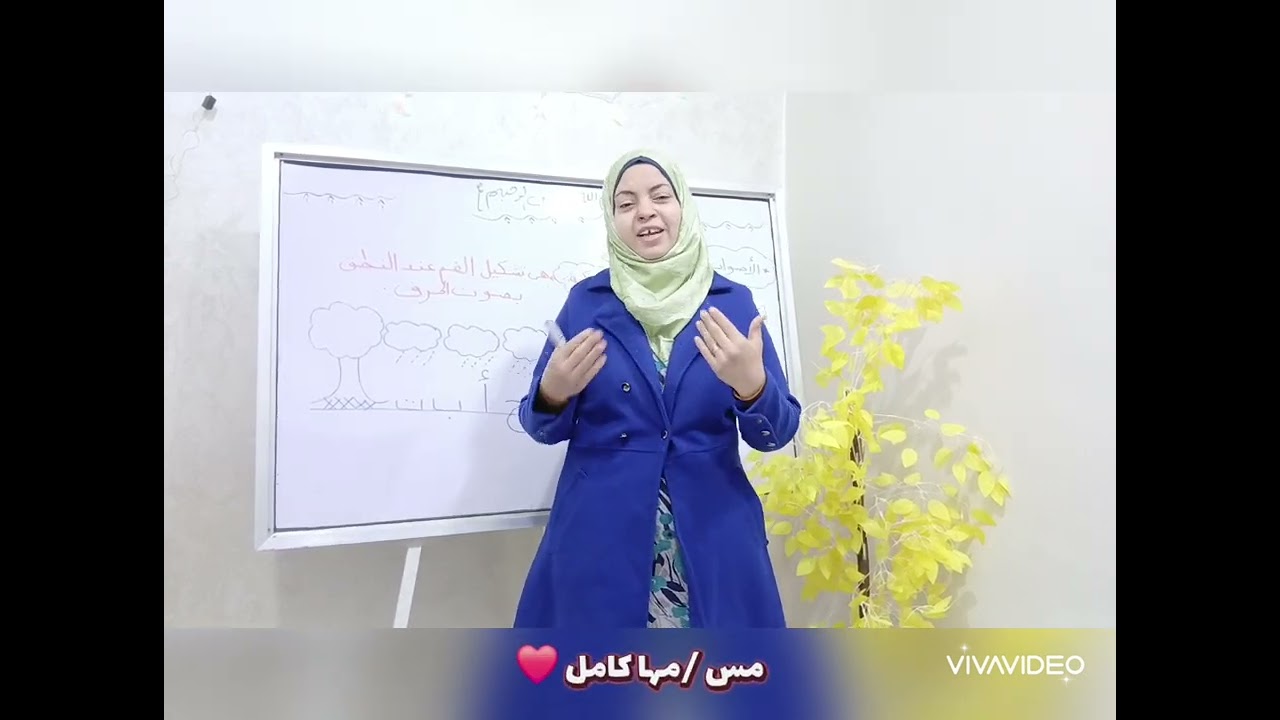 سلسلة يومية