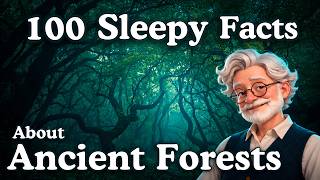 The Most Relaxing Facts About Ancient Forests to Fall Asleep To screenshot 5