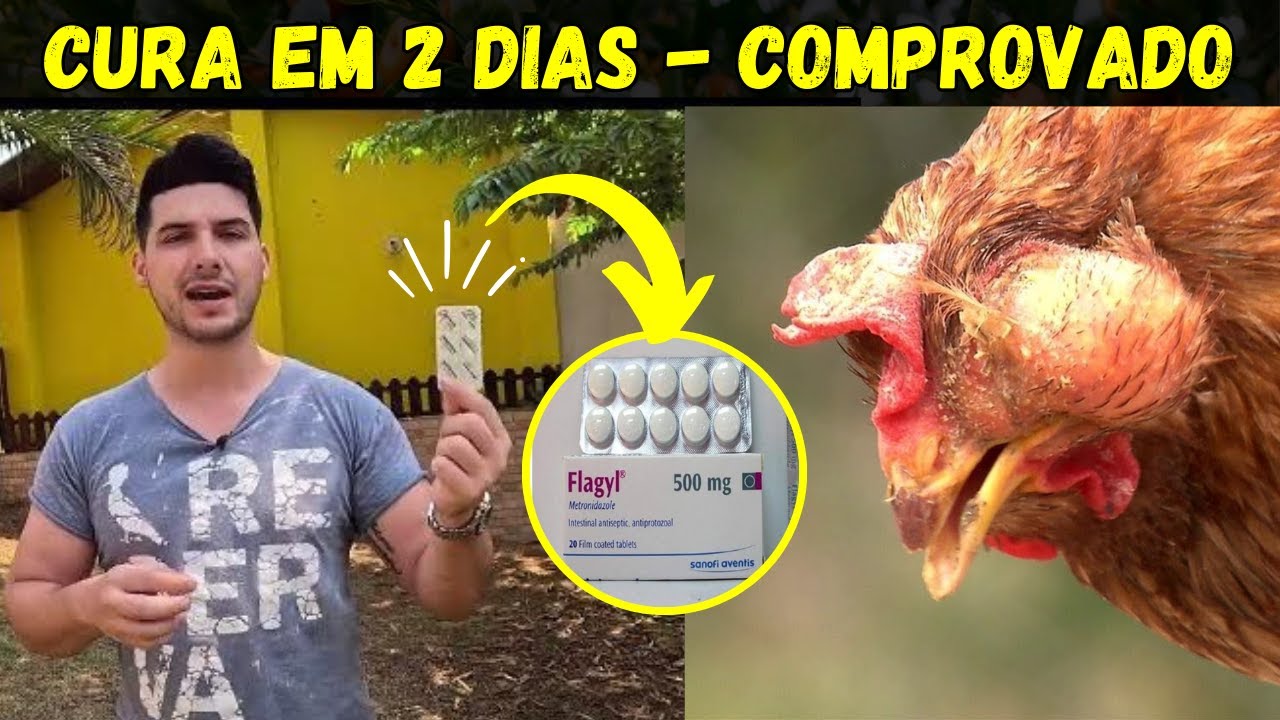O MELHOR REMÉDIO PARA curar o Gogo, Coriza infecciosa e Tifo aviária definitivamente