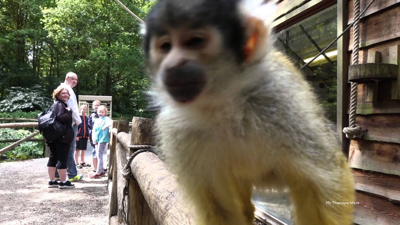 Bellewaerde Park 2015 Full movie. :)