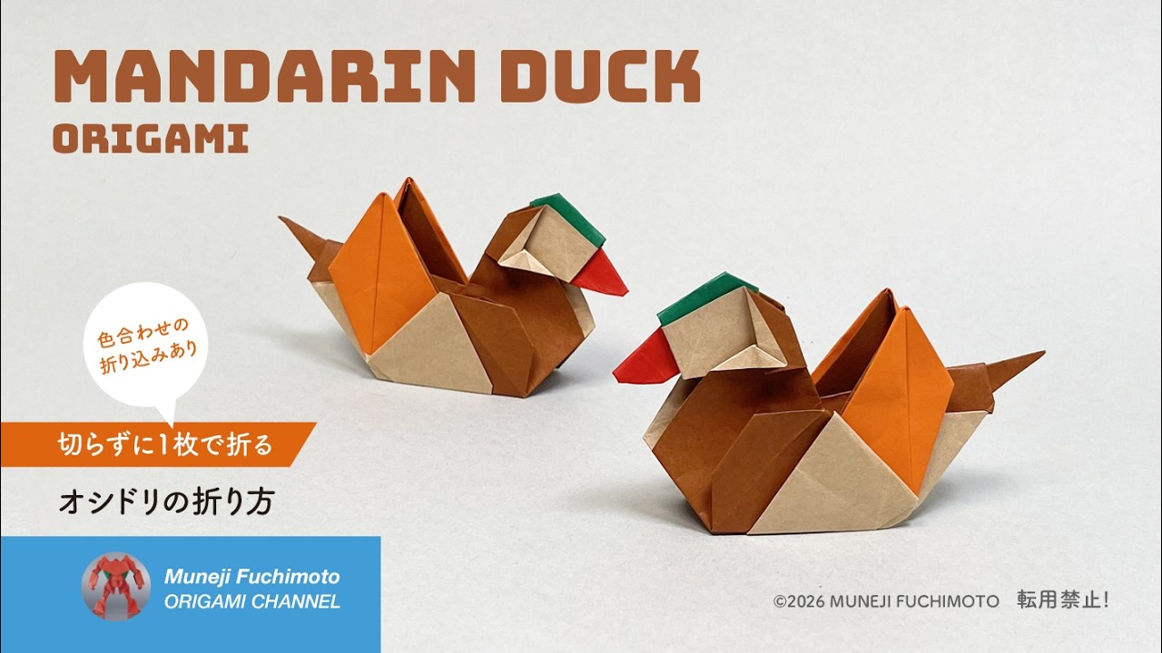 「折り紙」オシドリ（mandarin duck origami）の折り方