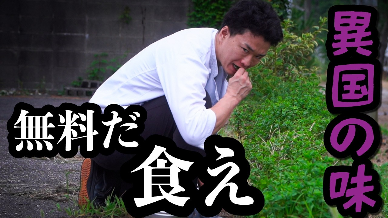 【0円】中華料理人はその辺の草すらも立派な料理にして喰う。
