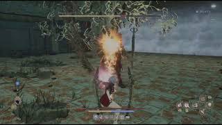 CODE VEIN II - Mutated Survivor Brend - no damage