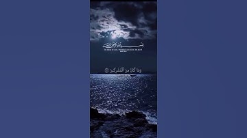 #سورة_الأنعام(قل إنني هداني ربي إلى صراط مستقيم) #القارئ_ماهر_المعيقلي#قرآن_كريم #راحة_نفسية
