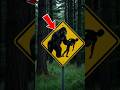 Giant Gorilla Warning Sign in Uganda! 🦍😱 #Shorts #Uganda #Wildlife