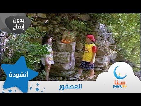 العصفور بدون إيقاع من ألبوم الطفل والبحر قناة سنا