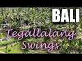 🌴✨ BALI VLOG | Rice Field Swings, Local Traditions &amp; Butterfly Garden 🦋🌾