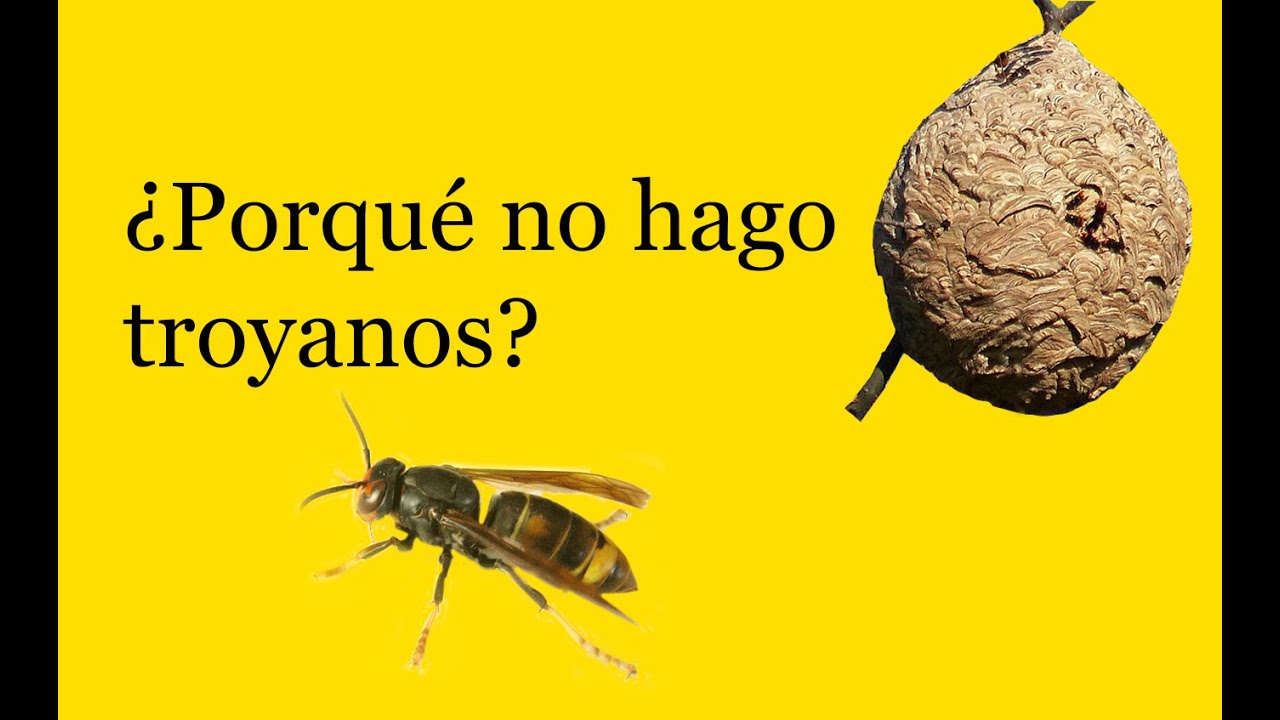 ¿Porqué no hago troyanos contra las velutinas?