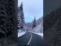 Неймовірна краса Карпат в зимку 
