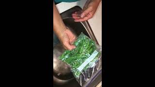 Making a Ziploc Bag Freeze like a Vacuum Sealed Bag