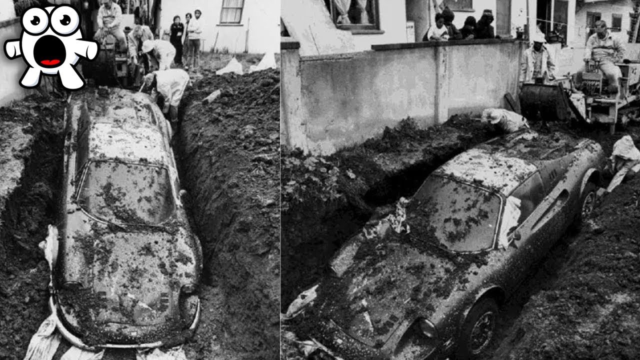 The Most Insane Backyard Finds Ever!