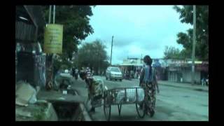 Wadudu Wa Dampo-- Fagia Fagia