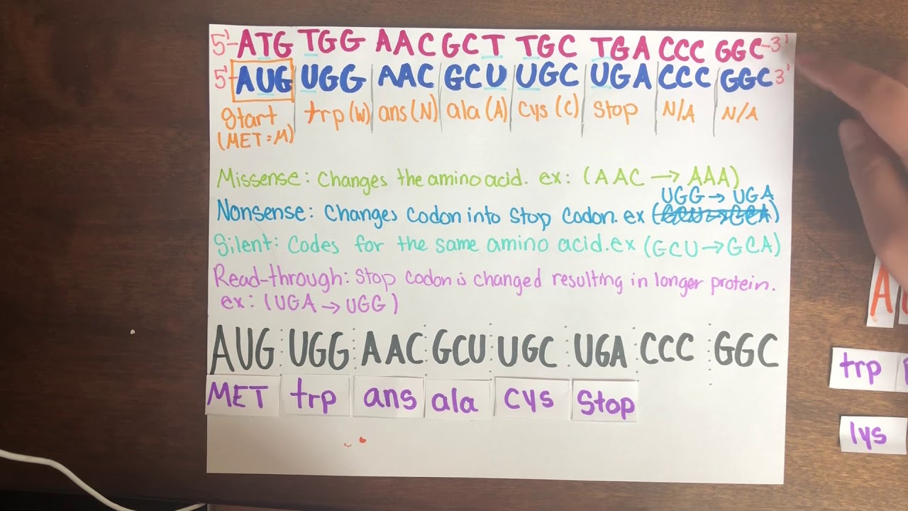 H14-231_V1.0 Tests