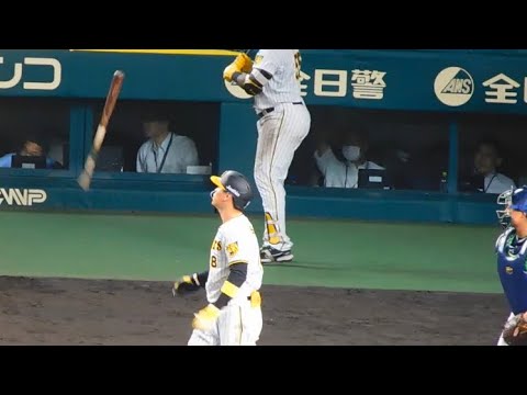 打席で大道芸を披露する佐藤輝明