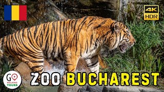 Bucharest Zoo Baneasa | Walking Tour 4K HDR (2024)