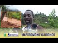 KILIO DIMILO MAPOROMOKO YA UDONGO FAMILIA ZAKIMBIA MAKAZI 