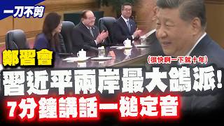 [Full Subtitles] Xi-Zheng Meeting Begins! Xi Jinping Speaks First Without Mentioning 'Unification...