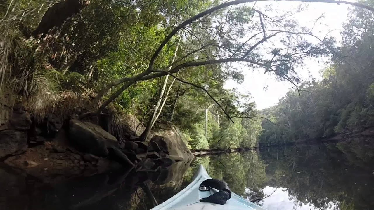 CENTRAL COAST KAYAK MOONEY MOONEY CREEK 'PRETTIER THAN A PICTURE' YouTube