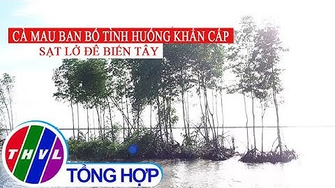 Cà Mau ban bố tình huống khẩn cấp sạt lở đê biển Tây