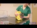 Administering ocular products to cats (Chinese subtitles)