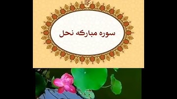 الجزء الرابع عشر  من القرآن الكريم  🔹️ التلاوة السريعة  / جزء ١٤ استاد معتز آقائي