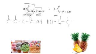 estersyntese