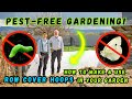 Keep bugs off your broccoli  cauliflower simple  effective garden row covers  hoops tutorial