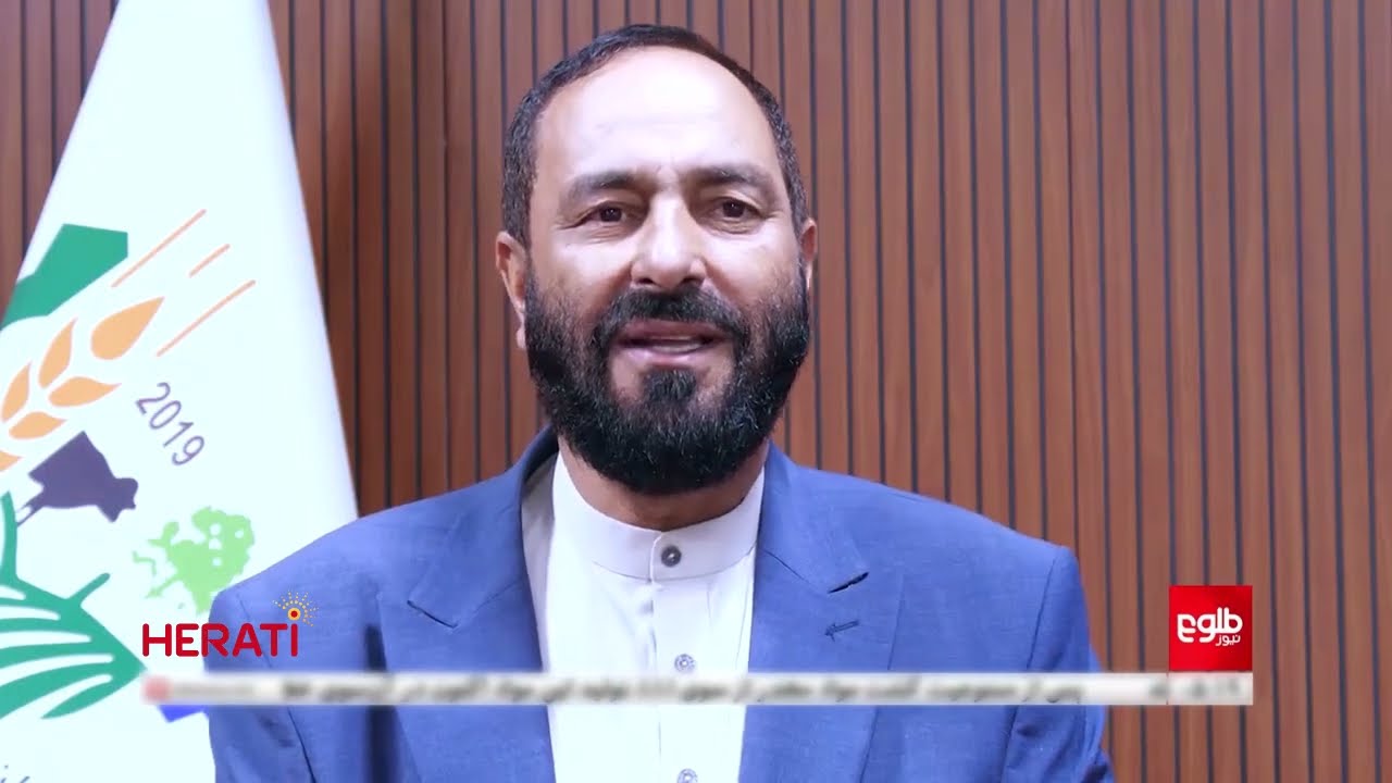 Saffron News: 10% Surge in Exports; A Fresh Boost to Afghanistan’s Economic Pulse