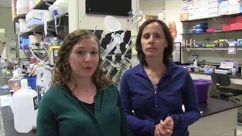 Disinhibition of Striatal Neurons Gates Cocaine Inhibition