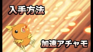 ポケモンusum メガ進化最強ランキング ポケモニア