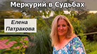 видео: Сообщество Меркурий. Финансовые потоки.  Интервью с Еленой Патраковой. картинка: Сообщество Меркурий. Финансовые потоки.  Интервью с Еленой Патраковой.