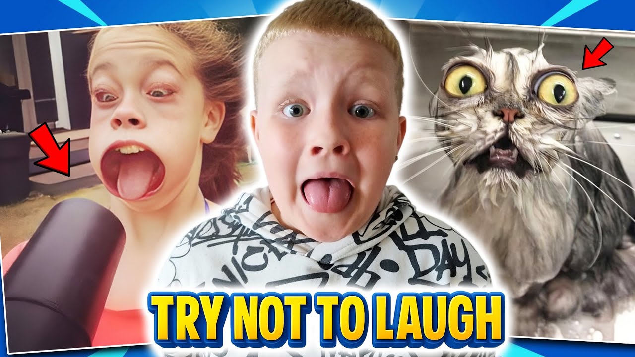 TRY NOT TO LAUGH #4 – Funniest Moments Ever! 😂 - YouTube